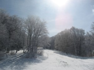 10-е Марта Сказочный день. Всё работает, никого нет.