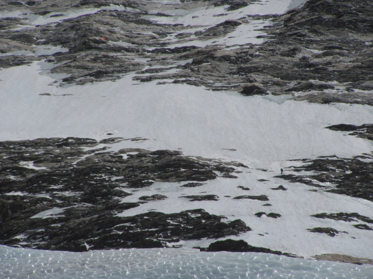 Участок выше Лагеря 2. Видна оранжевая палатка лагеря 3 / Part of the route above Camp 2. Camp 3 tent can be seen as small orange spot.