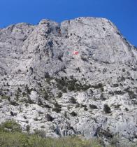 Красной стрелкой показано место отступления - змеиного гнезда
