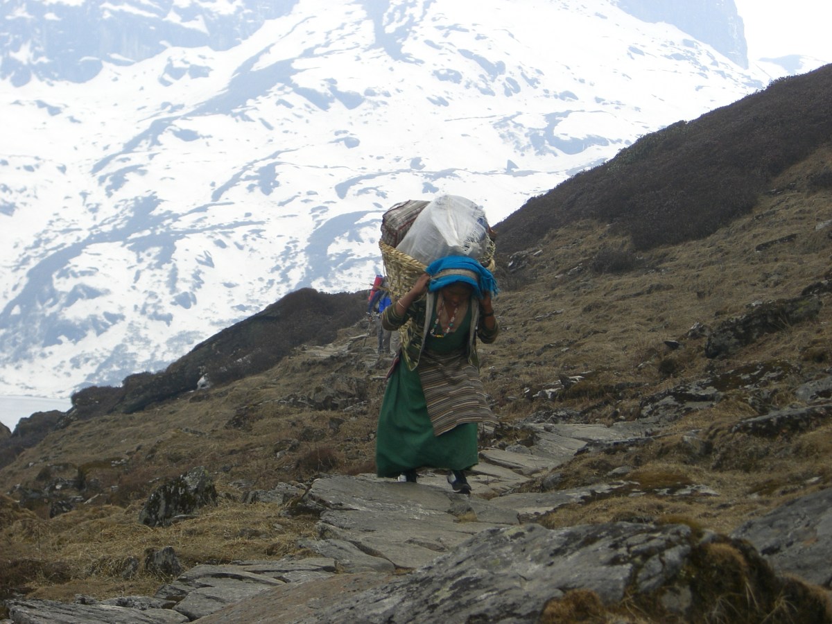 Наши грузы едут на хрупких спинах портеров