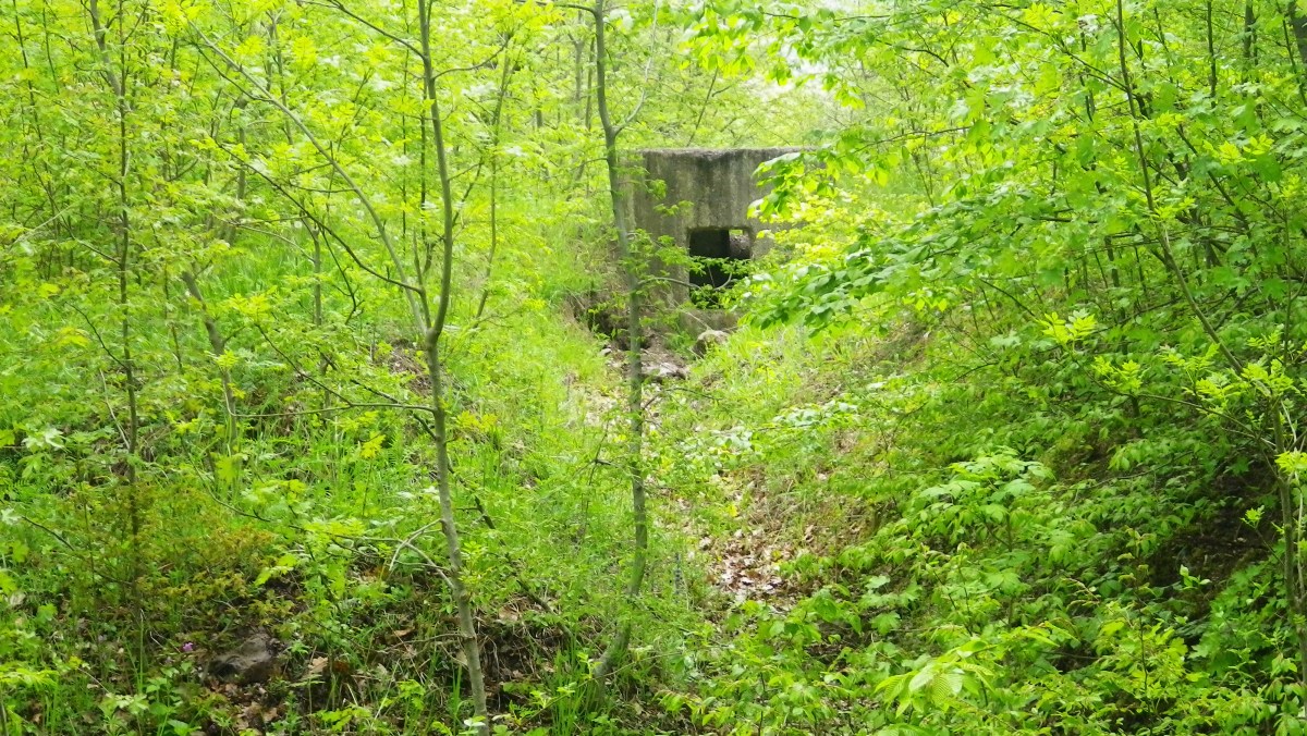 Одно из многочисленных пулемётных гнёзд урочища Кизил-Таш.