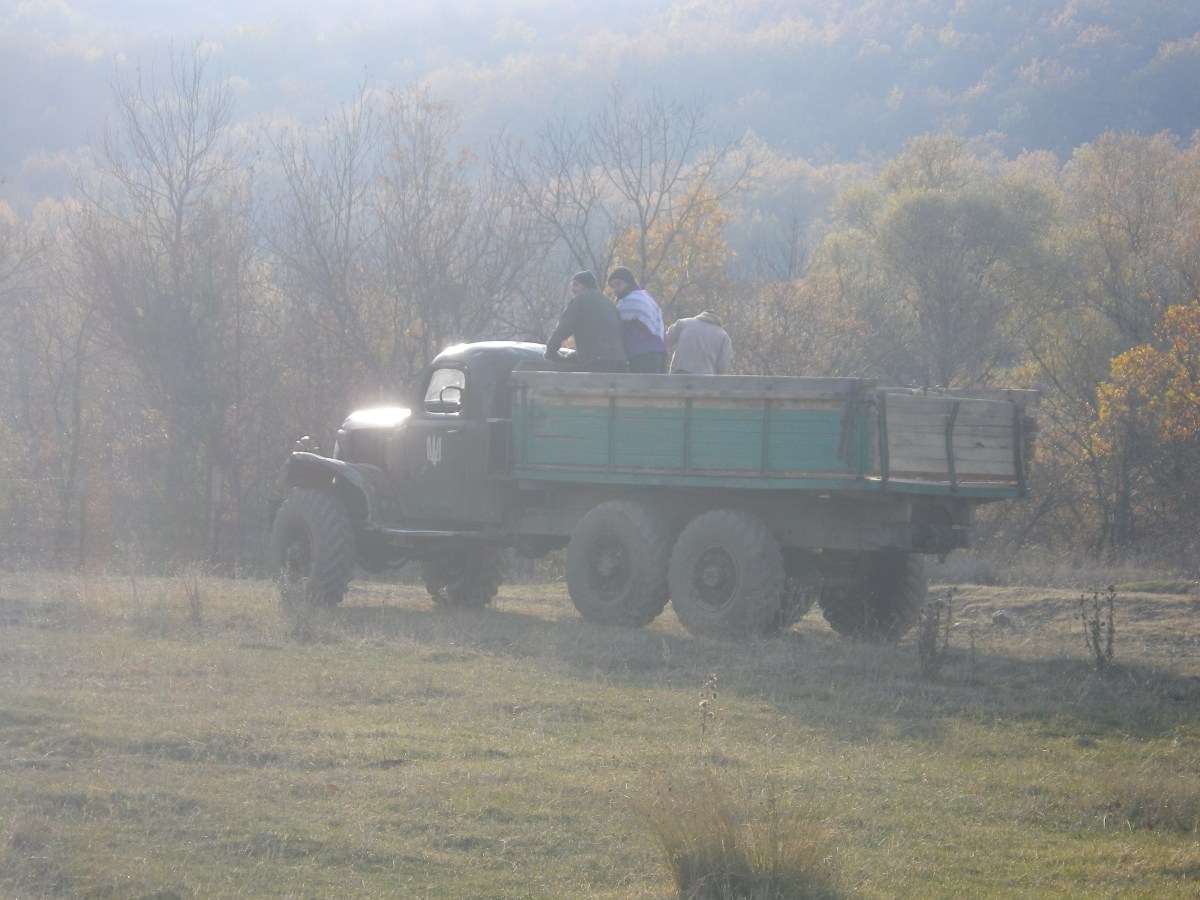 нелегальные лесорубы-бандеровцы в селе Богатырь