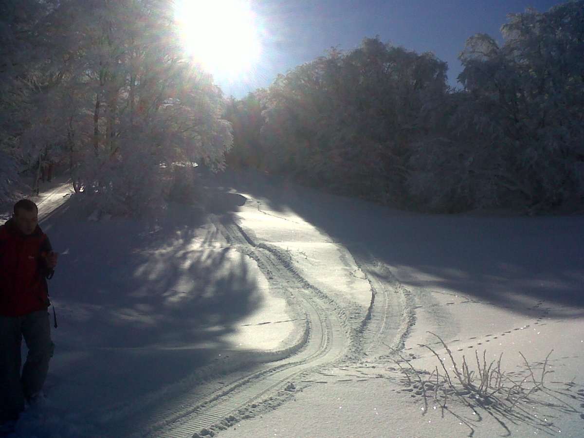 Утро 24 января до укатки трассы снегоходом