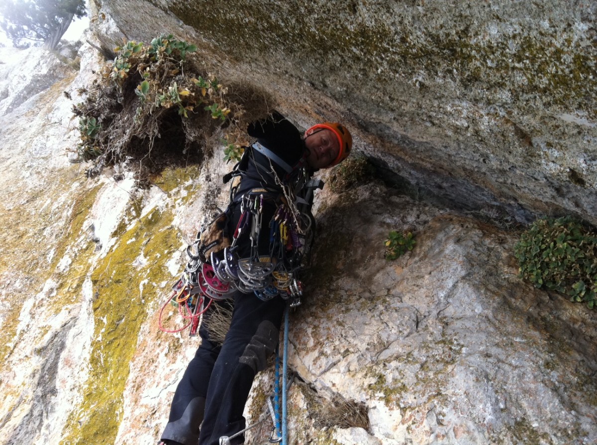 Чистка щели от травы на участке R5-R6