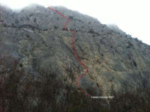 Маршрут "Севастополь - 230" - вид снизу