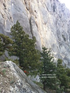 Начало маршрута "Севастополь - 230"