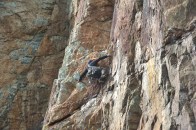 'The Savage Sunbird', E2