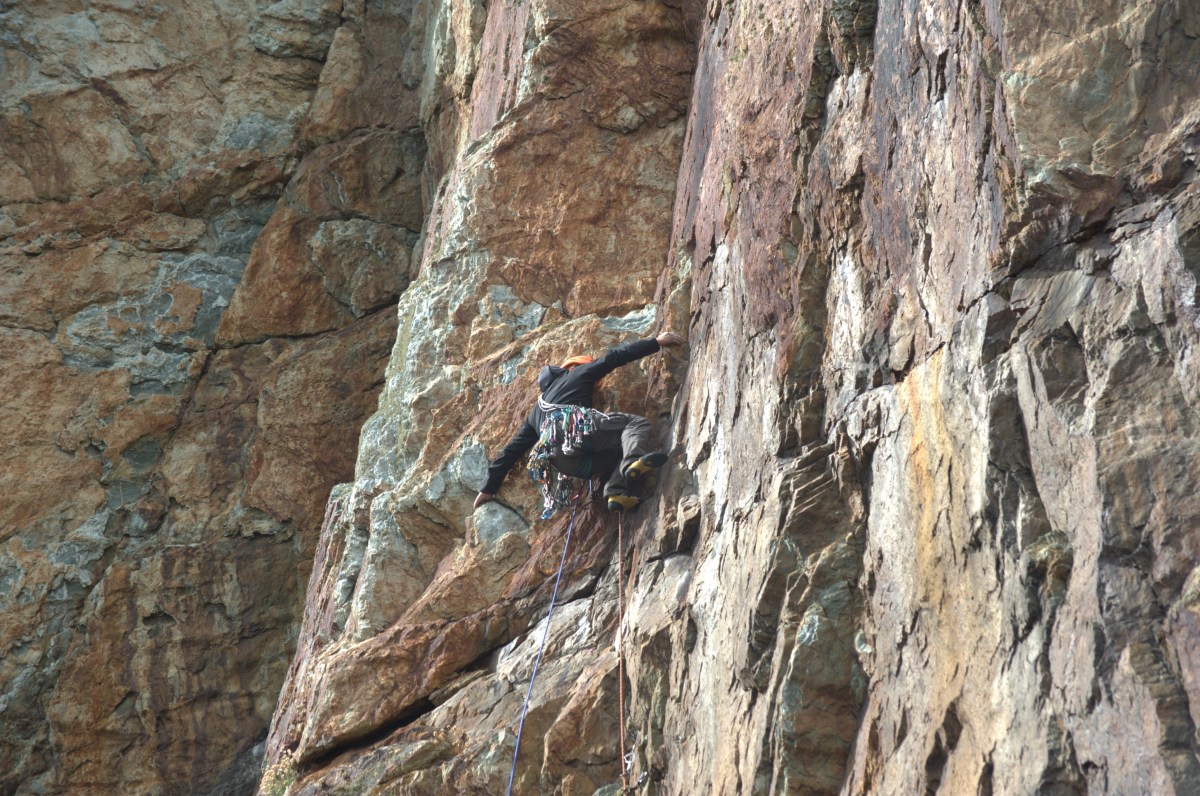 'The Savage Sunbird', E2