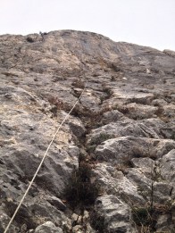 "Селекция Генофонда". Нижняя часть