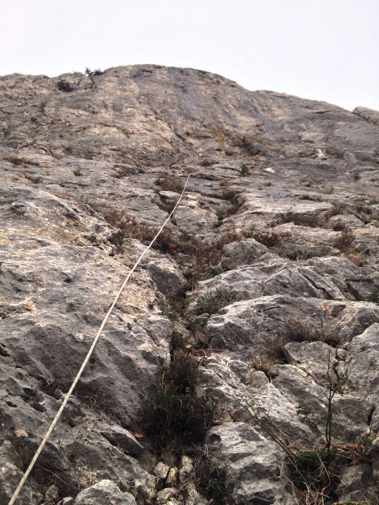 "Селекция Генофонда". Нижняя часть