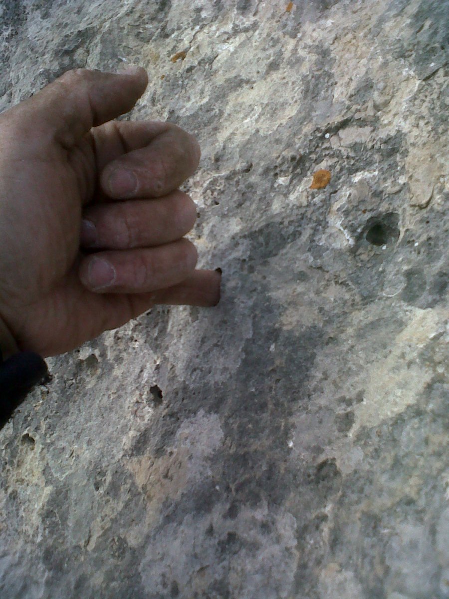 Эти раковины создала природа для того чтобы ставить в них скайхуки