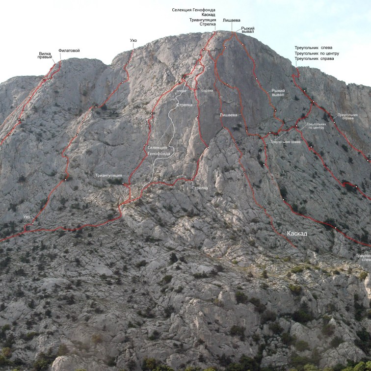Маршрут "Селекция Генофонда" указан белой линией. Фото А. Жилина