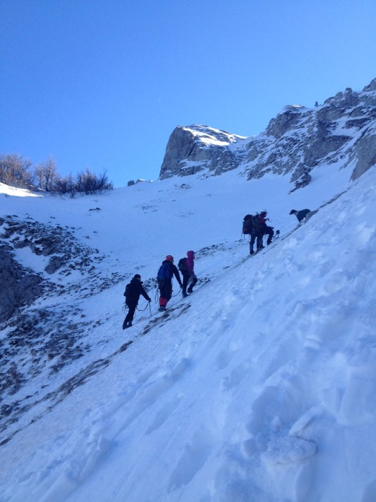 Юные альпинисты тренируются. Не привязана только собака