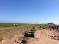 По верху плато гуляют трудящиеся. А по будням район закрывается и превращается в тренировочный полигон артиллерии. На плато много капониров, окопов, старой бронетехники со следами множественных попаданий